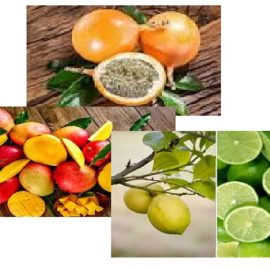 Frutas
