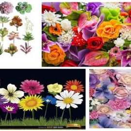 Flores