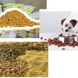 El Mundo de los Balanceados