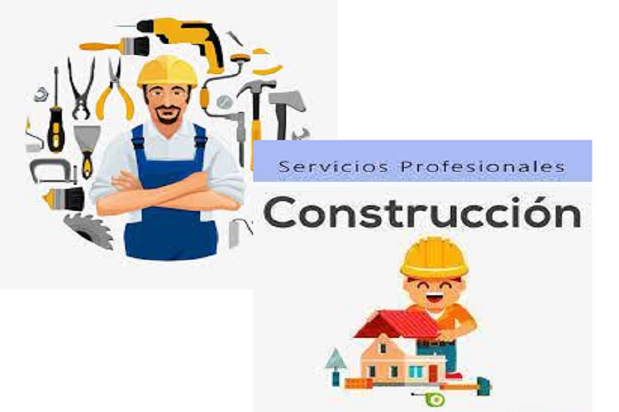 Servicios profesionales